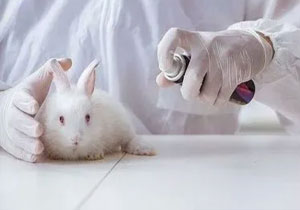 動物造模-呼吸系統模型